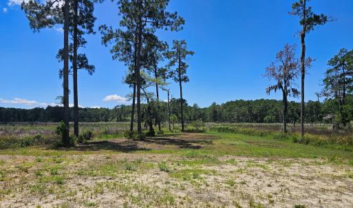 Photo #18 of Lot 20 Bailey Pointe, Belhaven, NC 1.9 acres