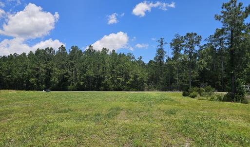 Photo #19 of Lot 20 Bailey Pointe, Belhaven, NC 1.9 acres