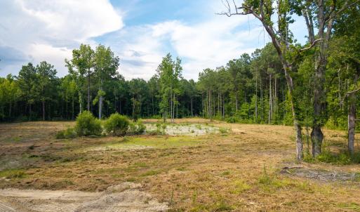 Photo #5 of 100 Cruella, Shawboro, NC 10.6 acres