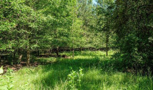 Photo #37 of 1-B River Oak, North Augusta, SC 2.9 acres