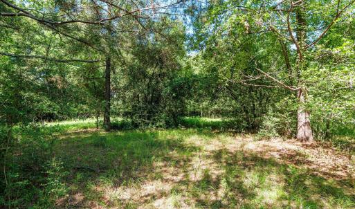 Photo #30 of 1-B River Oak, North Augusta, SC 2.9 acres