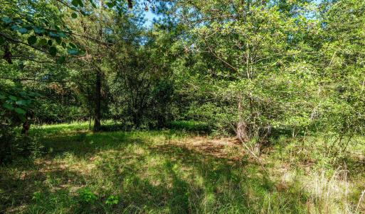 Photo #41 of 1-B River Oak, North Augusta, SC 2.9 acres