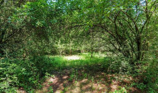 Photo #32 of 1-B River Oak, North Augusta, SC 2.9 acres
