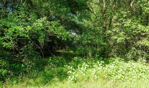 Photo #36 of 1-B River Oak, North Augusta, SC 2.9 acres