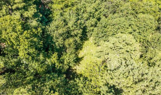 Photo #9 of 1-B River Oak, North Augusta, SC 2.9 acres