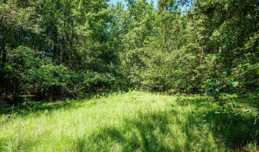 Photo #33 of 1-B River Oak, North Augusta, SC 2.9 acres