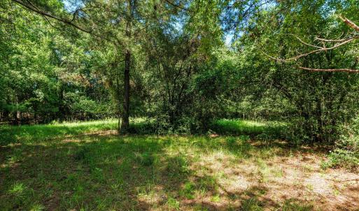 Photo #39 of 1-B River Oak, North Augusta, SC 2.9 acres
