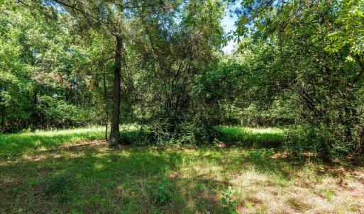 Photo #31 of 1-B River Oak, North Augusta, SC 2.9 acres