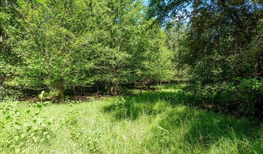 Photo #34 of 1-B River Oak, North Augusta, SC 2.9 acres