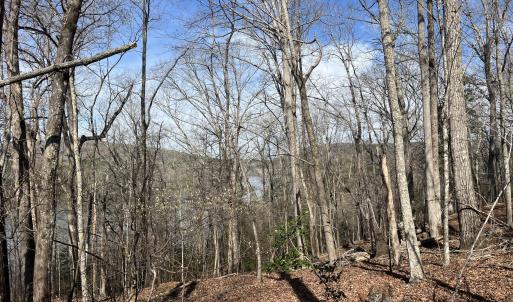 Photo #15 of Tbd Haltiwanger Retreat, Troy, NC 15.5 acres