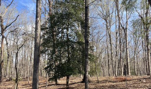 Photo #17 of Tbd Haltiwanger Retreat, Troy, NC 15.5 acres