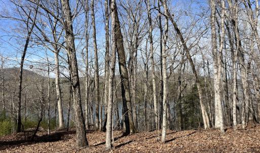 Photo #12 of Tbd Haltiwanger Retreat, Troy, NC 15.5 acres