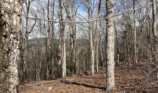 Photo #14 of Tbd Haltiwanger Retreat, Troy, NC 15.5 acres