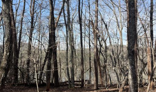 Photo #16 of Tbd Haltiwanger Retreat, Troy, NC 15.5 acres