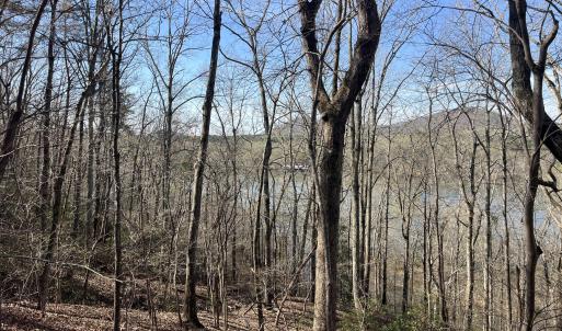 Photo #18 of Tbd Haltiwanger Retreat, Troy, NC 15.5 acres