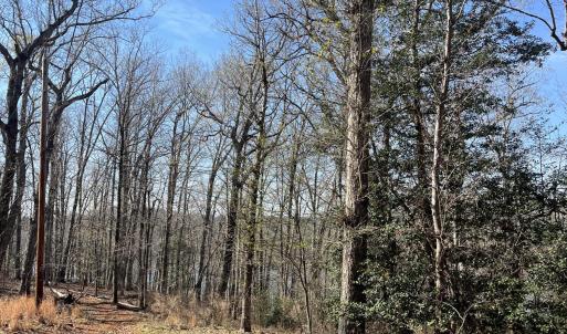 Photo #13 of Tbd Haltiwanger Retreat, Troy, NC 15.5 acres