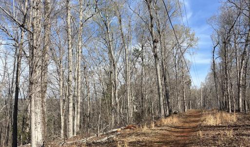 Photo #11 of Tbd Haltiwanger Retreat, Troy, NC 15.5 acres