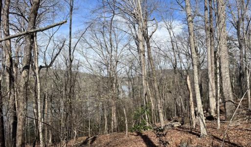 Photo #15 of Tbd Haltiwanger Retreat, Troy, NC 15.5 acres