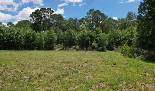Photo #36 of Old Chinquapin, Beulaville, NC 3.7 acres