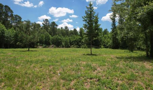Photo #23 of Old Chinquapin, Beulaville, NC 3.7 acres