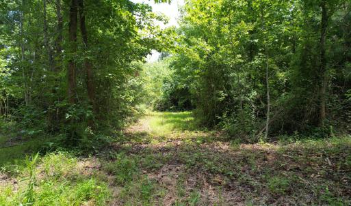 Photo #31 of Old Chinquapin, Beulaville, NC 3.7 acres