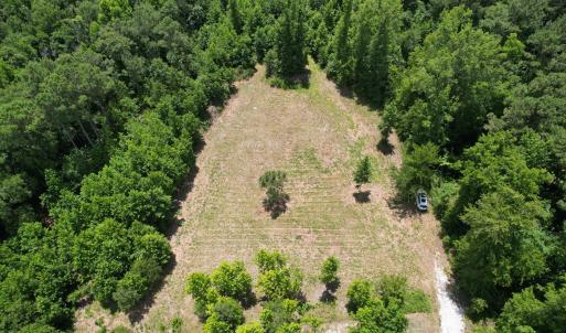 Photo #20 of Old Chinquapin, Beulaville, NC 3.7 acres