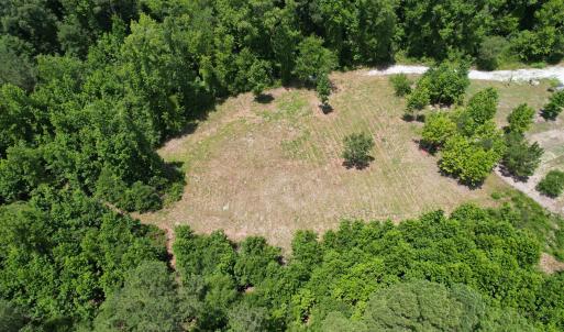 Photo #17 of Old Chinquapin, Beulaville, NC 3.7 acres