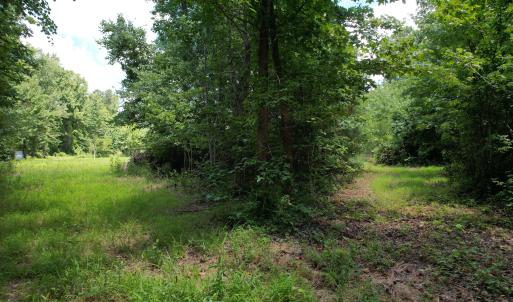 Photo #30 of Old Chinquapin, Beulaville, NC 3.7 acres