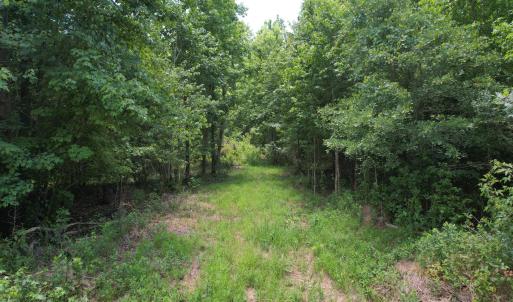 Photo #27 of Old Chinquapin, Beulaville, NC 3.7 acres