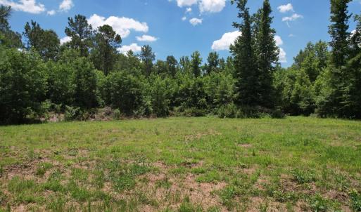 Photo #35 of Old Chinquapin, Beulaville, NC 3.7 acres
