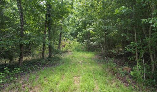 Photo #28 of Old Chinquapin, Beulaville, NC 3.7 acres