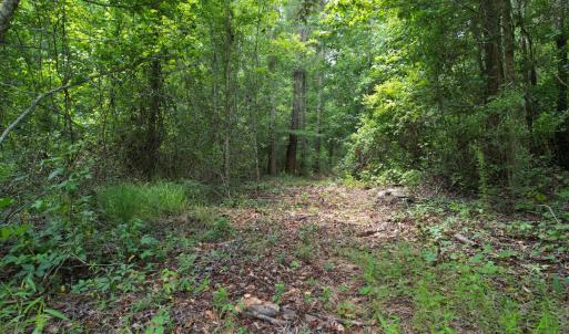 Photo #29 of Old Chinquapin, Beulaville, NC 3.7 acres