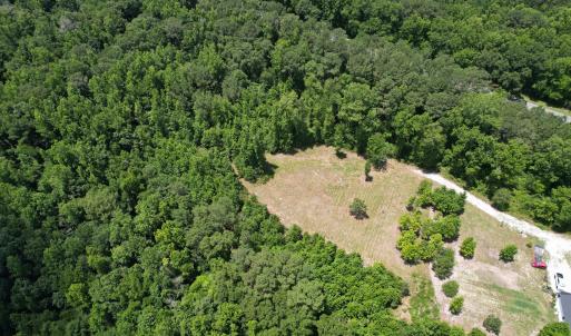 Photo #11 of Old Chinquapin, Beulaville, NC 3.7 acres