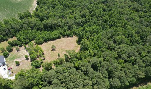 Photo #3 of Old Chinquapin, Beulaville, NC 3.7 acres