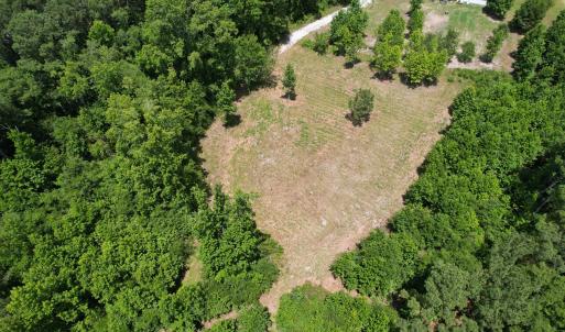 Photo #16 of Old Chinquapin, Beulaville, NC 3.7 acres