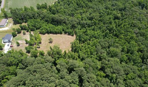 Photo #4 of Old Chinquapin, Beulaville, NC 3.7 acres