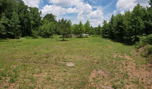 Photo #37 of Old Chinquapin, Beulaville, NC 3.7 acres