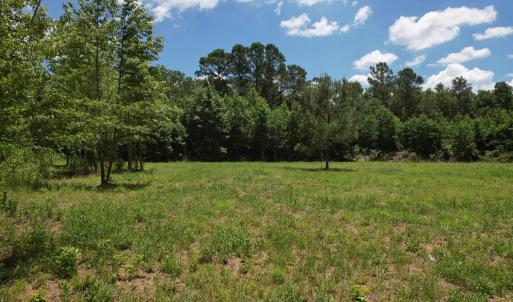 Photo #22 of Old Chinquapin, Beulaville, NC 3.7 acres