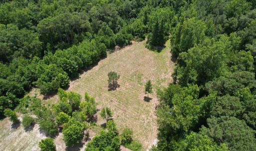 Photo #14 of Old Chinquapin, Beulaville, NC 3.7 acres