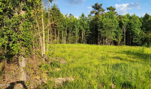 Photo #6 of Lot 1 Tracy, Burgaw, NC 1.0 acres