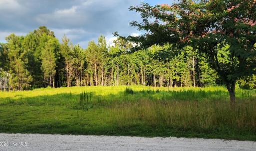 Photo #3 of Lot 1 Tracy, Burgaw, NC 1.0 acres