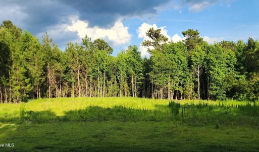 Photo #1 of Lot 1 Tracy, Burgaw, NC 1.0 acres