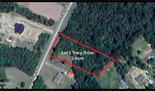 Photo #2 of Lot 1 Tracy, Burgaw, NC 1.0 acres