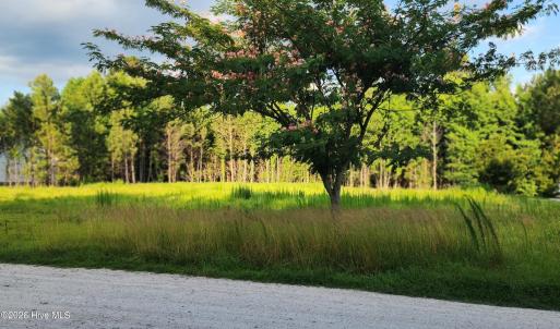 Photo #4 of Lot 1 Tracy, Burgaw, NC 1.0 acres