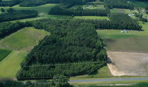 Photo #5 of 1419 Mable Spaulding, Whiteville, NC 18.6 acres