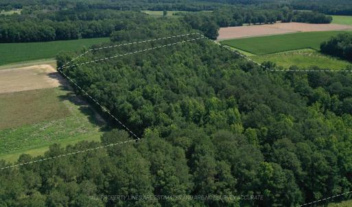 Photo #14 of 1419 Mable Spaulding, Whiteville, NC 18.6 acres