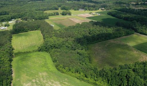 Photo #9 of 1419 Mable Spaulding, Whiteville, NC 18.6 acres