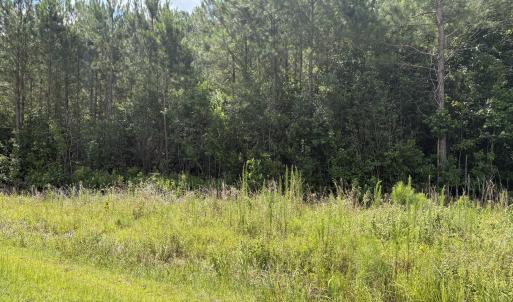 Photo #4 of 1419 Mable Spaulding, Whiteville, NC 18.6 acres