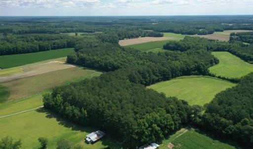 Photo #11 of 1419 Mable Spaulding, Whiteville, NC 18.6 acres