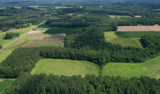 Photo #10 of 1419 Mable Spaulding, Whiteville, NC 18.6 acres